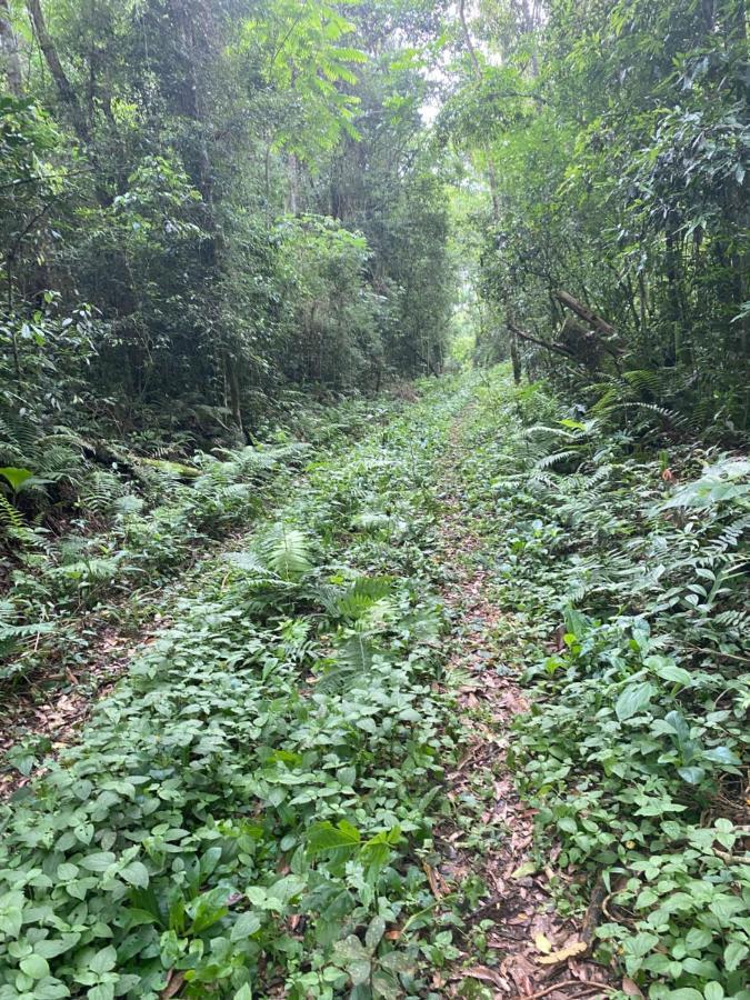 Reserva La Mision Mocona - Solo Adultos Saltos del Moconá Exteriér fotografie