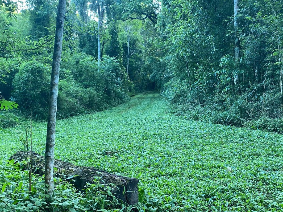 Reserva La Mision Mocona - Solo Adultos Saltos del Moconá Exteriér fotografie